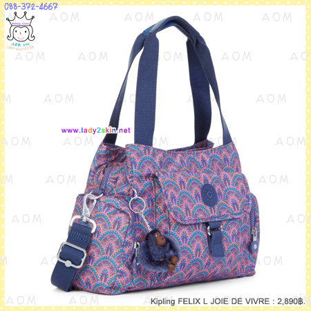 ٻҾ2 ͧԹ : FELIX L JOIE DE VIVRE
