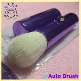 Auto Brush Auto Brush