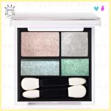 ( 6 ) Multi Professional Shadow ( 6 ) Multi Professional Shadow
