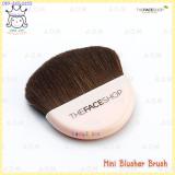Daily Beauty Tools Mini Blusher Brush Daily Beauty Tools Mini Blusher Brush