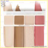 ( 2 )Face Designing Palette ( 2 )Face Designing Palette