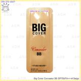 ( 21 Beige )Big Cover Concealer BB SPF50/PA+++ ( 21 Beige )Big Cover Concealer BB SPF50/PA+++