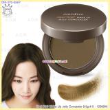 ( 5 )Real Hair Make Up Jelly Concealer