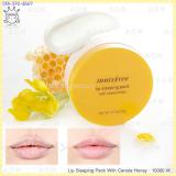 Lip Sleeping Pack With Canola Honey 20g. Lip Sleeping Pack With Canola Honey 20g.