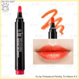 ( 5 )It's top Professional Painting Tint Marker ( 5 )It's top Professional Painting Tint Marker