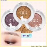 ( BR421 ) Lucky Puppy Eyes ( BR421 ) Lucky Puppy Eyes