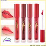 ( RD301 ) Matt Chic Lacquer ( RD301 ) Matt Chic Lacquer