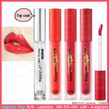 ( Top coat ) Matt Chic Lacquer ( Top coat ) Matt Chic Lacquer