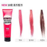 ( 10 )Two Tone Treatment Hair Color 150ml ( 10 )Two Tone Treatment Hair Color 150ml