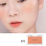 ( 4 ) My Blusher Veil